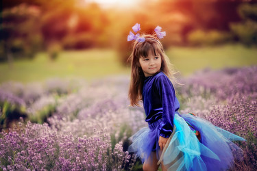 Similar image 2924510