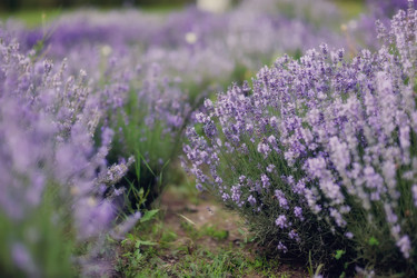 Similar image 2924513