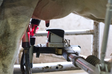 Similar image 2924529