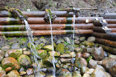 Similar image 2924564