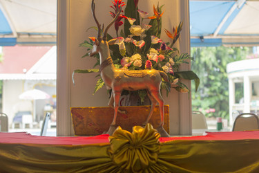 Similar image 2924628