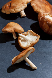 Similar image 2924800