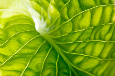 Similar image 2924801