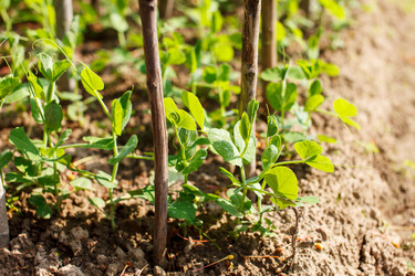 Similar image 2924803