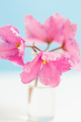 Similar image 2924807