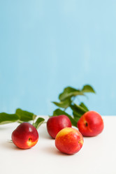 Similar image 2924808