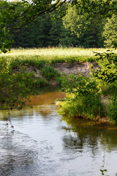 Similar image 2924829