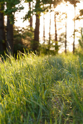 Similar image 2924831