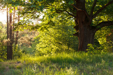 Similar image 2924832