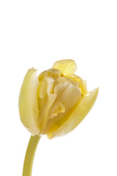 Similar image 2924849