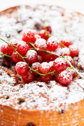 Similar image 2924856