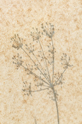 Similar image 2924863