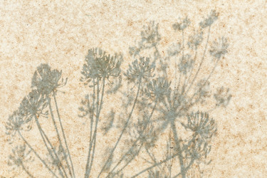 Similar image 2924864