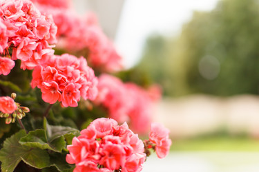 Similar image 2924866