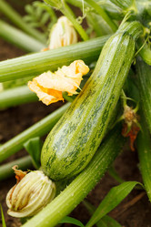 Similar image 2924867