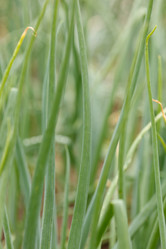 Similar image 2924868