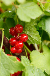 Similar image 2924872