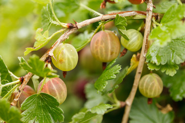 Similar image 2924873