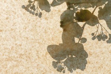 Similar image 2924875