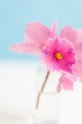 Similar image 2924919