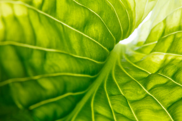 Similar image 2924923