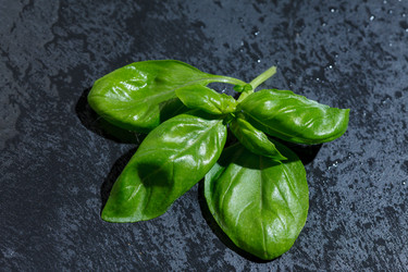 Similar image 2924924