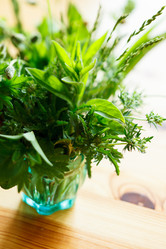 Similar image 2924934