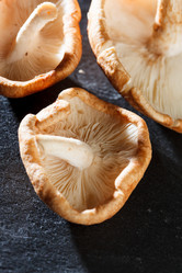 Similar image 2924935