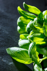 Similar image 2924936