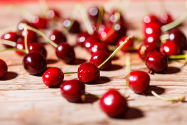 Similar image 2924947