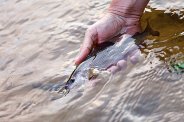 Similar image 2924952