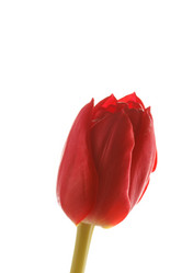 Similar image 2924959