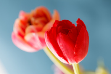 Similar image 2924962