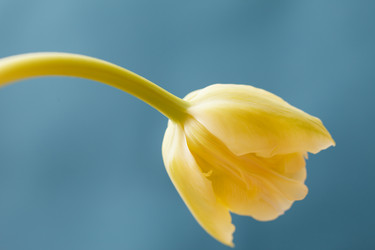 Similar image 2924963