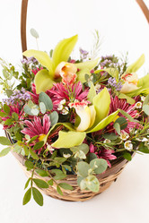 Similar image 2924992