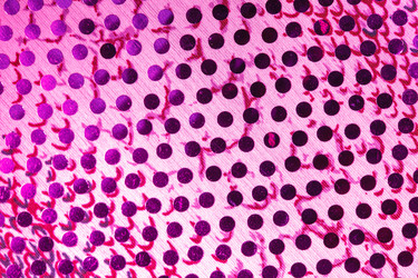 Similar image 2924993