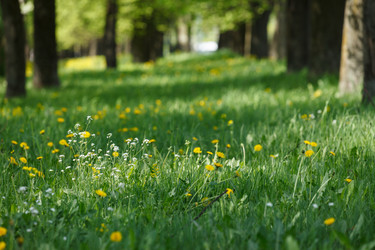 Similar image 2925007