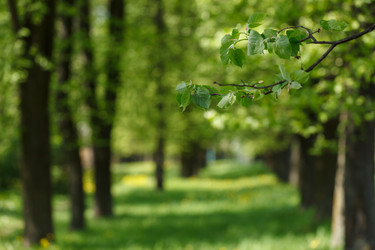 Similar image 2925008