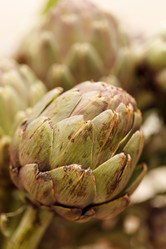 Similar image 2925041