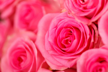 Similar image 2925043