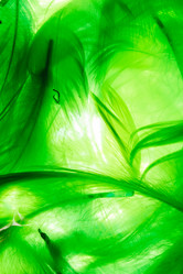 Similar image 2925055