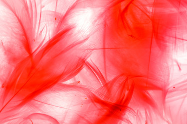 Similar image 2925056