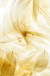 Similar image 2925067