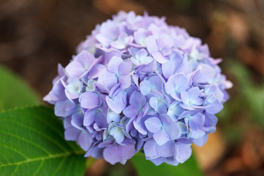 Similar image 2925129