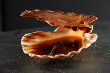 Similar image 2925132