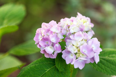 Similar image 2925144