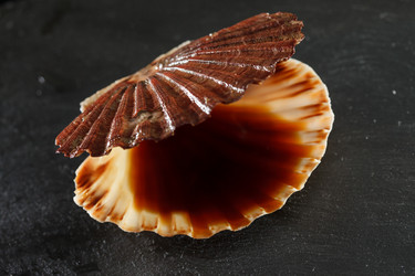 Similar image 2925168