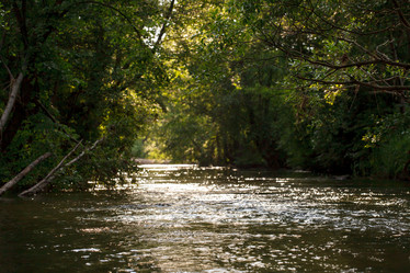 Similar image 2925219