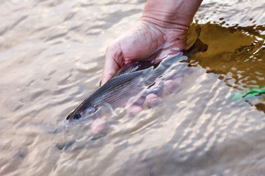 Similar image 2925222