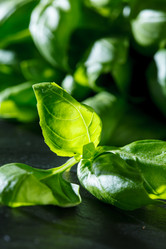 Similar image 2925226